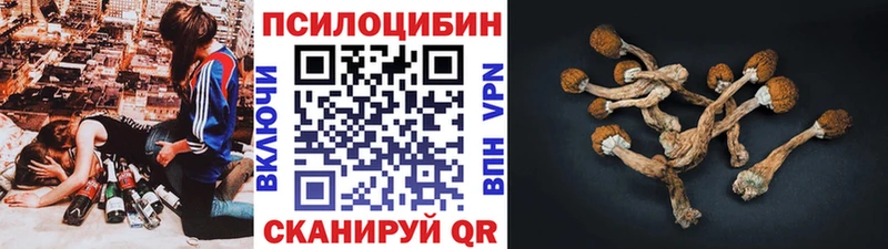 Галлюциногенные грибы ЛСД Порхов